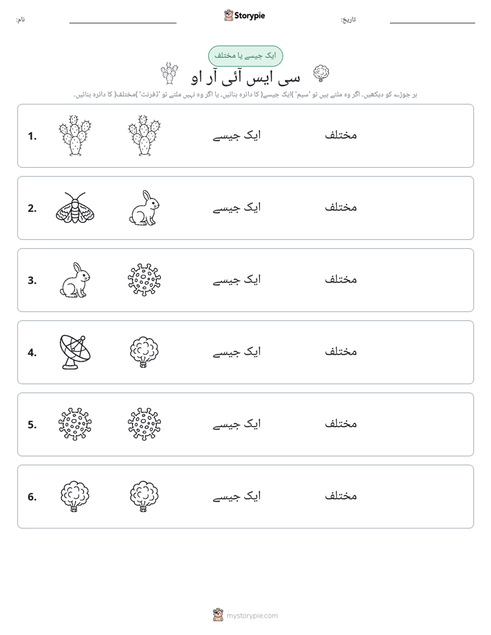 ایک جیسا یا مختلف