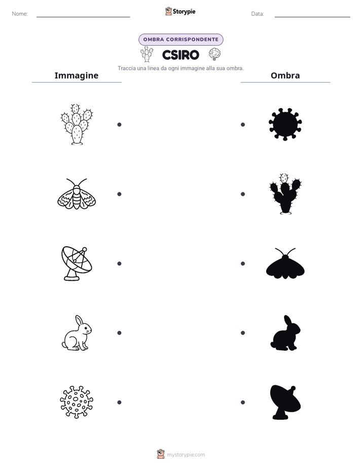 Corrispondenza Ombra