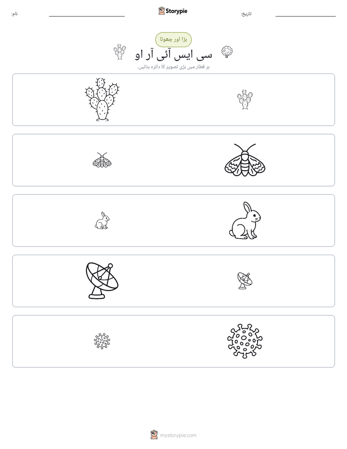 ترتیب دینا