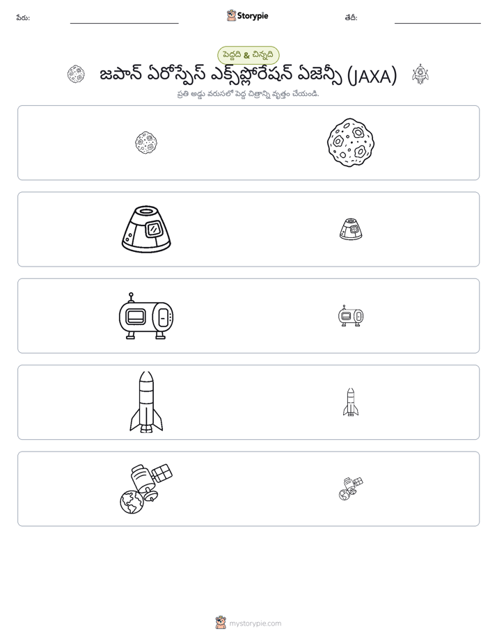 వర్గీకరణ