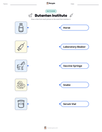 Butantan Institute printable worksheet preview