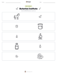 Butantan Institute printable worksheet preview