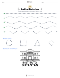 Aperçu de la feuille de travail imprimable Institut Butantan