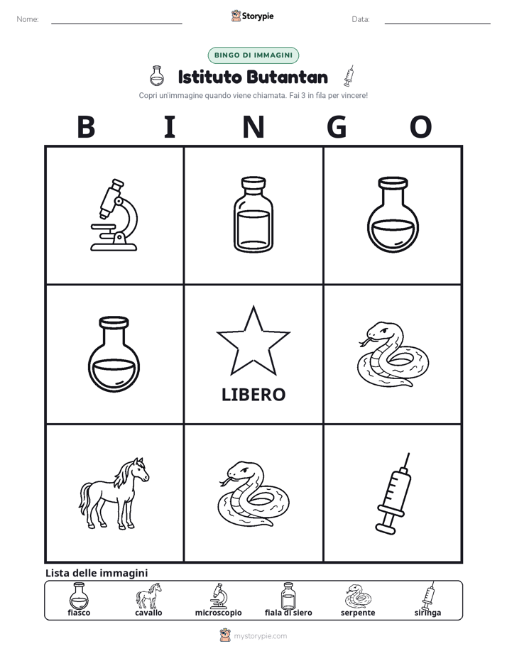 Bingo delle Immagini