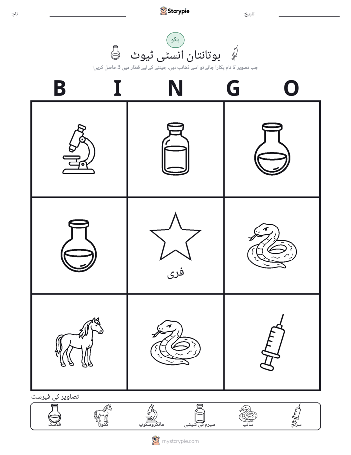 تصویری بنگو