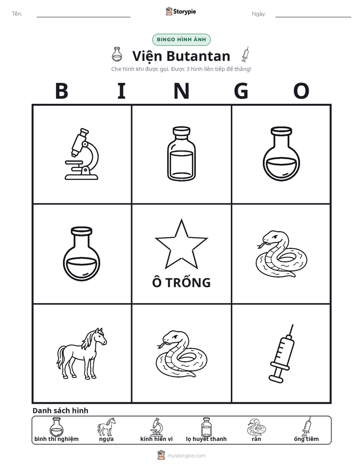 Bingo Hình Ảnh