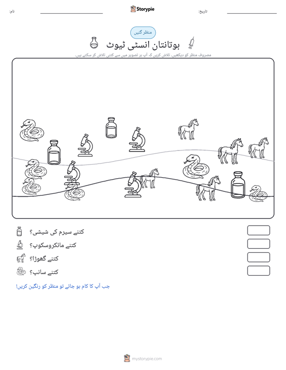گنتی کا منظر