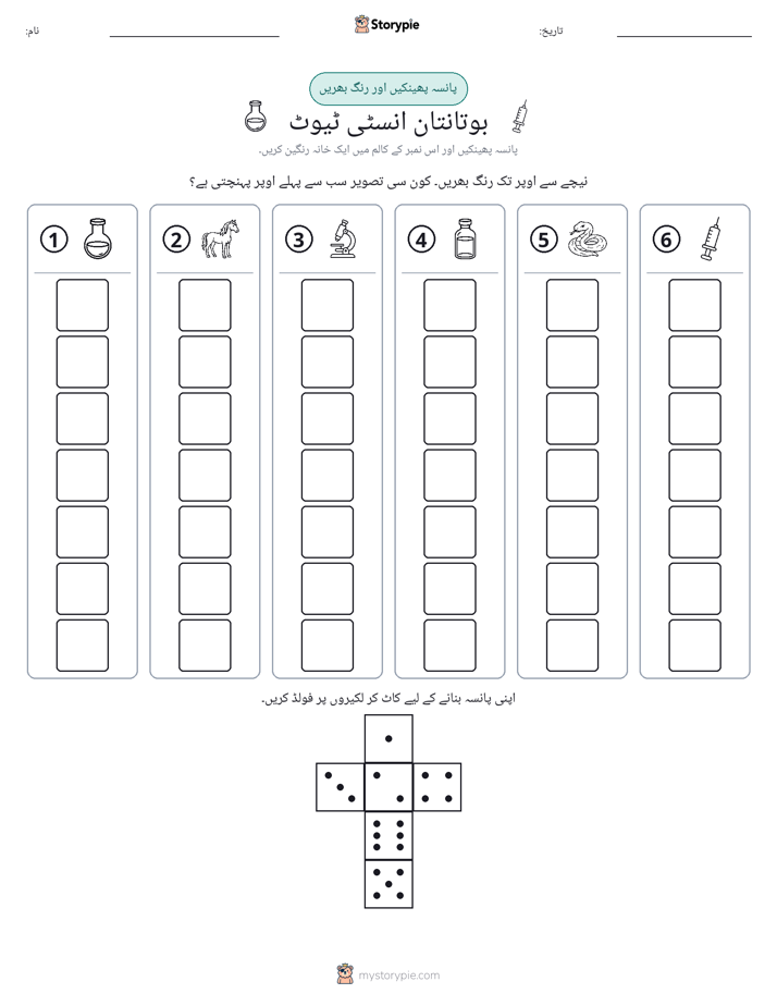 رول اور رنگ