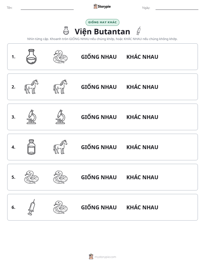 Giống Hay Khác