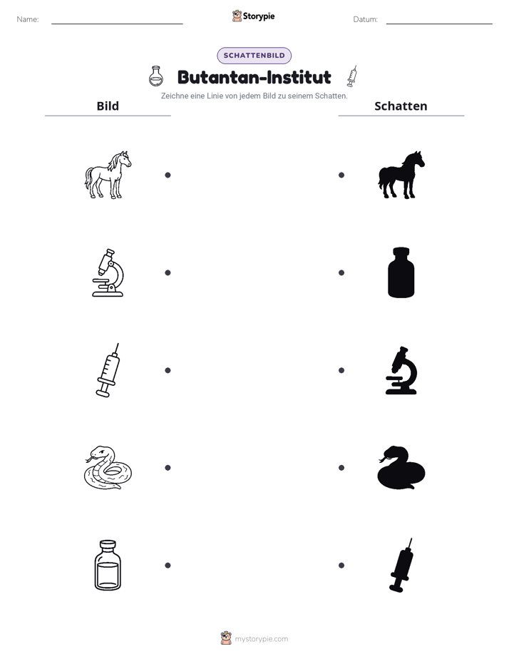 Schattenmatch