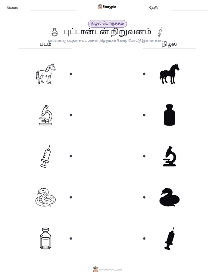 நிழல் பொருத்தம்