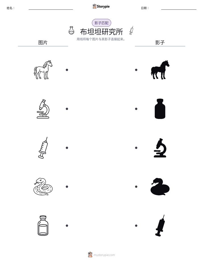 影子匹配