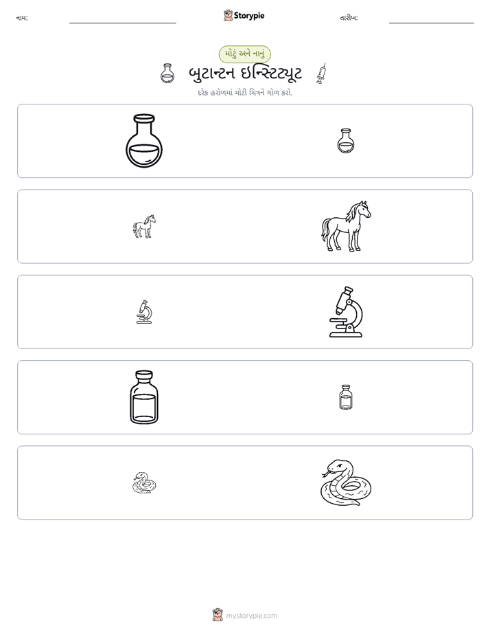 વર્ગીકરણ