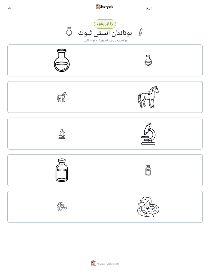 ترتیب دینا