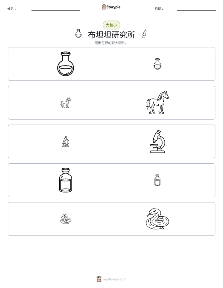 分类