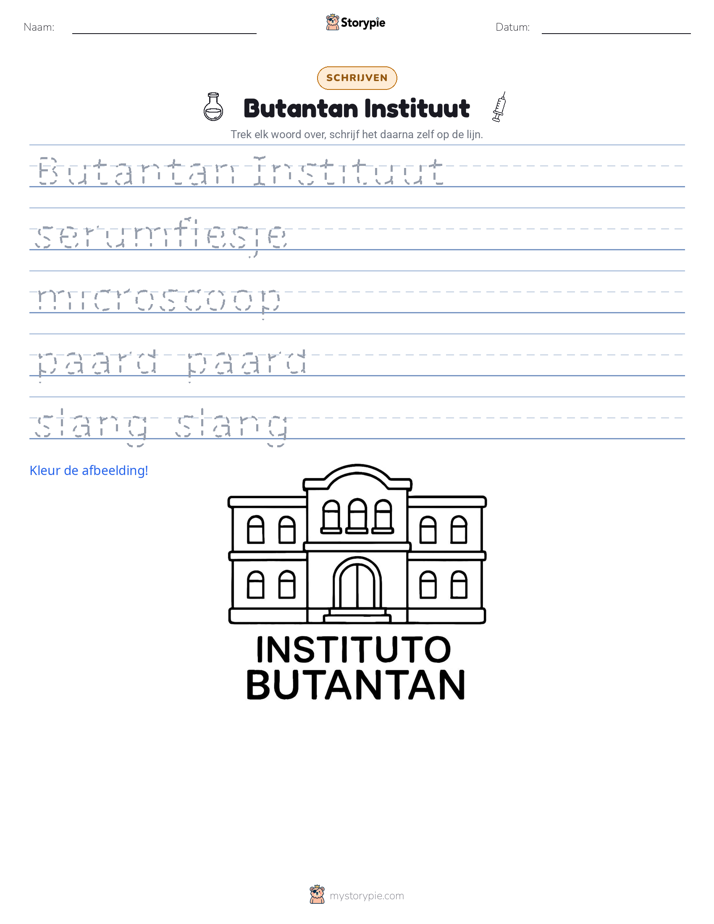 Schrijf Oefening