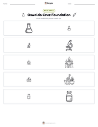 Oswaldo Cruz Foundation printable worksheet preview