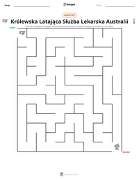 Podgląd drukowalnego arkusza ćwiczeń Królewska Latająca Służba Lekarska Australii