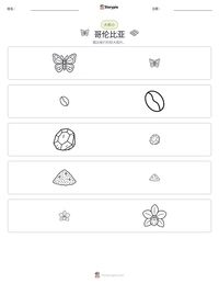 哥伦比亚 可打印工作表预览