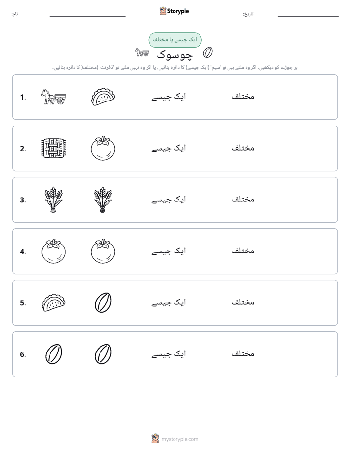 ایک جیسا یا مختلف