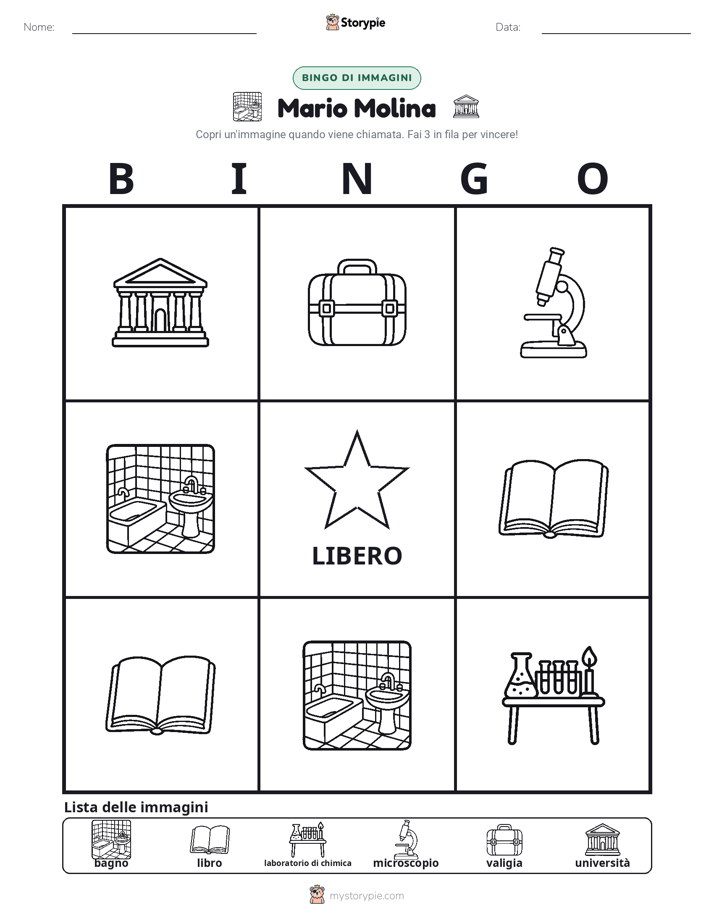 Bingo delle Immagini