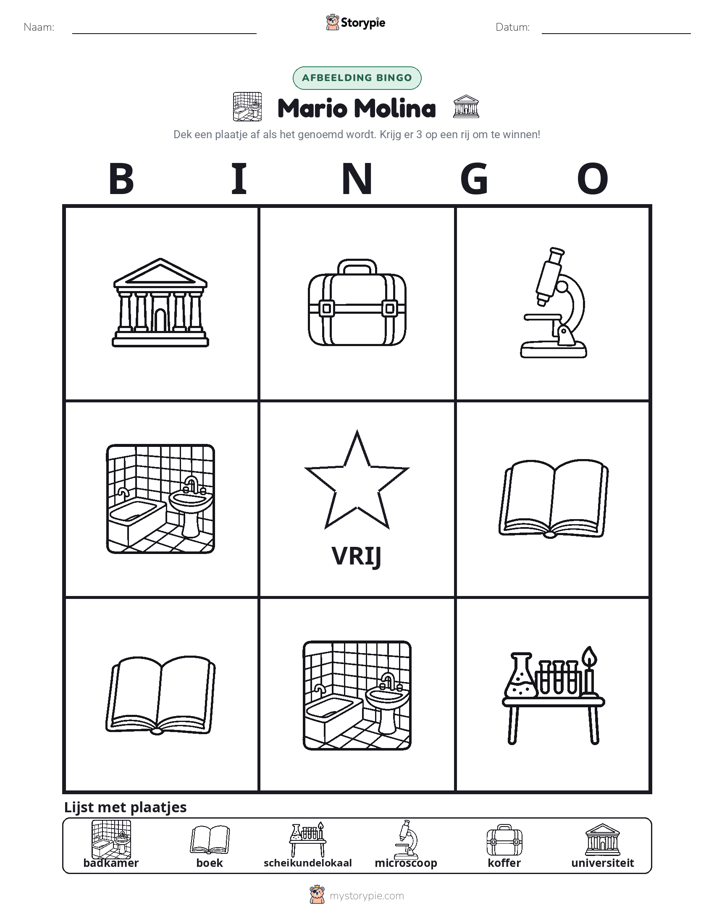 Afbeelding Bingo