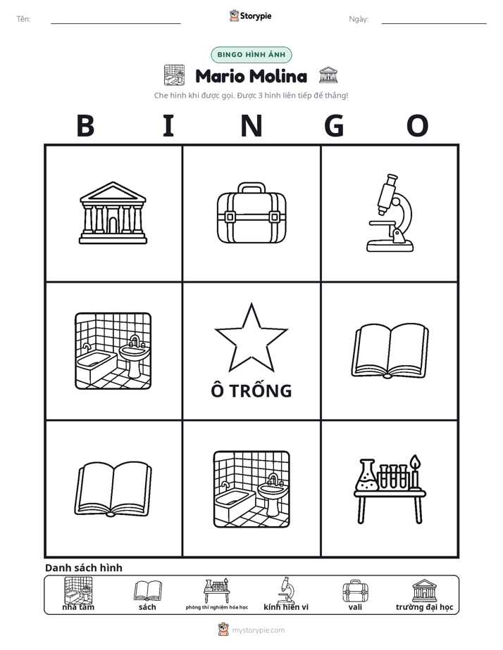 Bingo Hình Ảnh