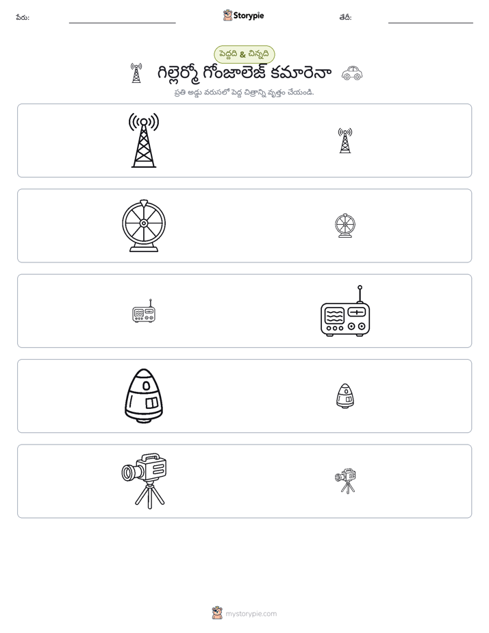 వర్గీకరణ