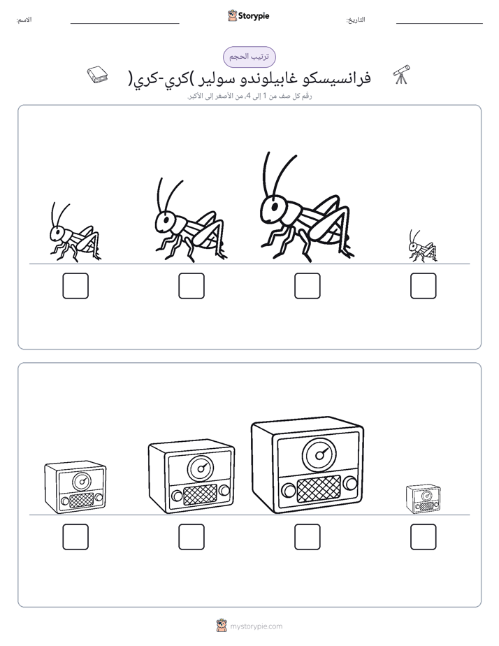 ترتيب الحجم