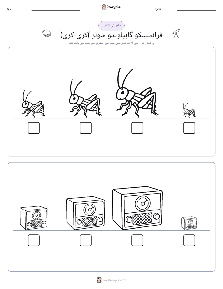 سائز کی ترتیب