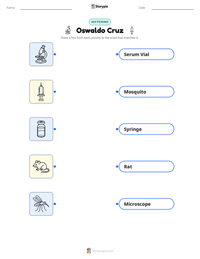 Oswaldo Cruz printable worksheet preview