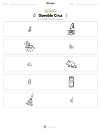 Oswaldo Cruz printable worksheet preview