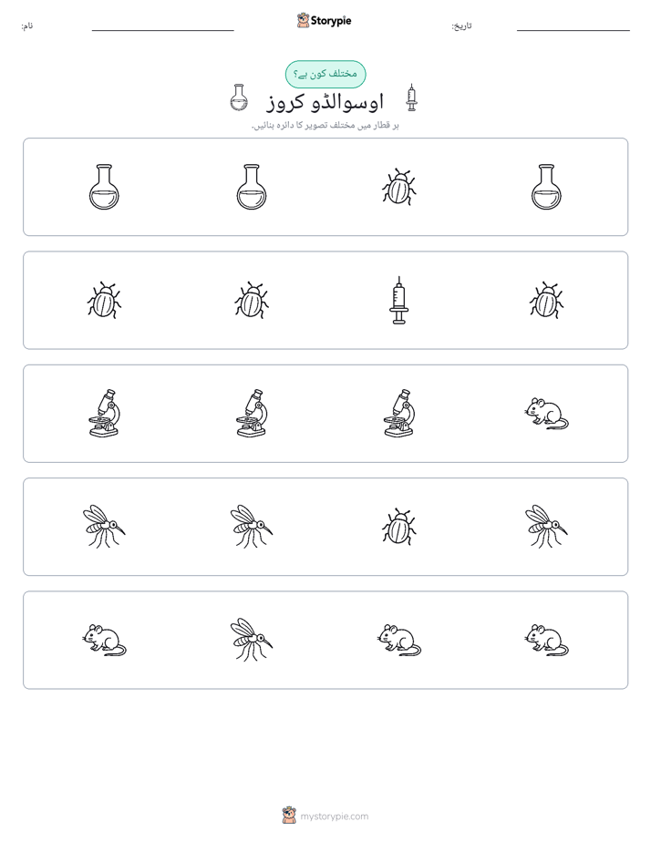 عجیب ایک