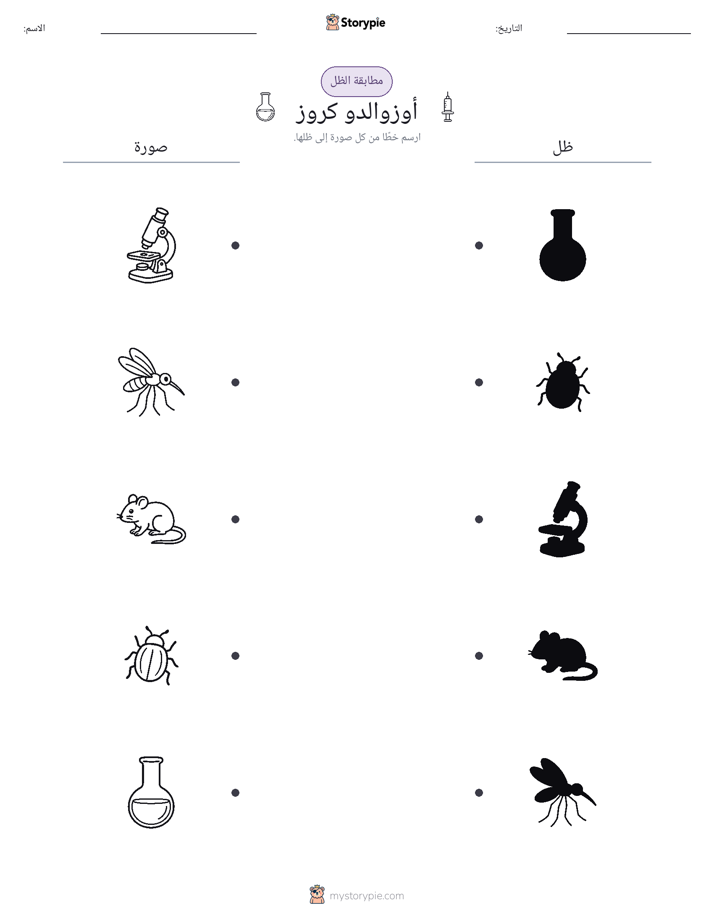 مطابقة الظل