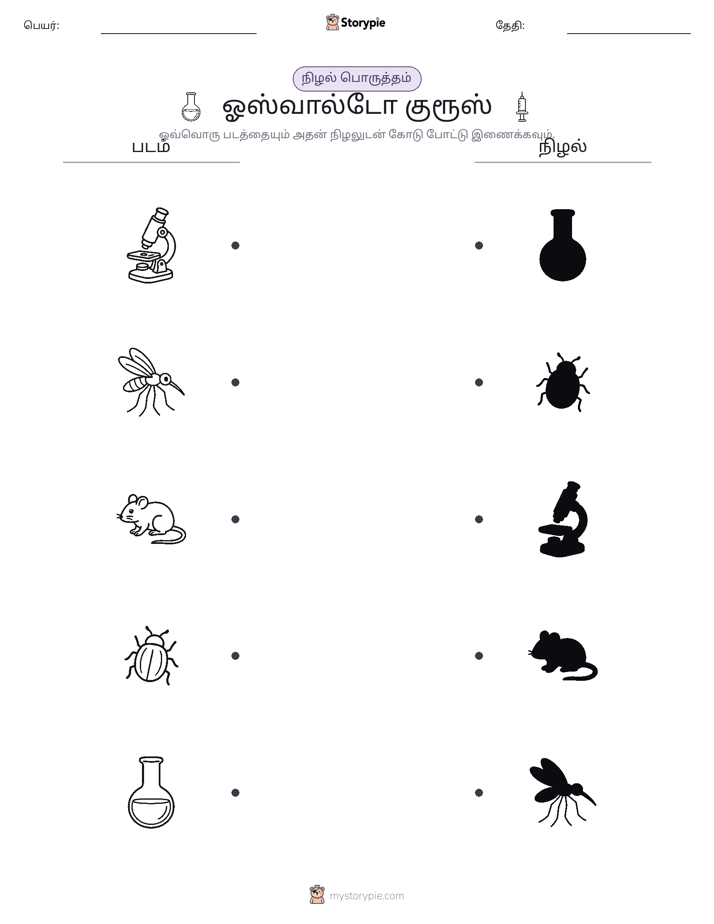 நிழல் பொருத்தம்