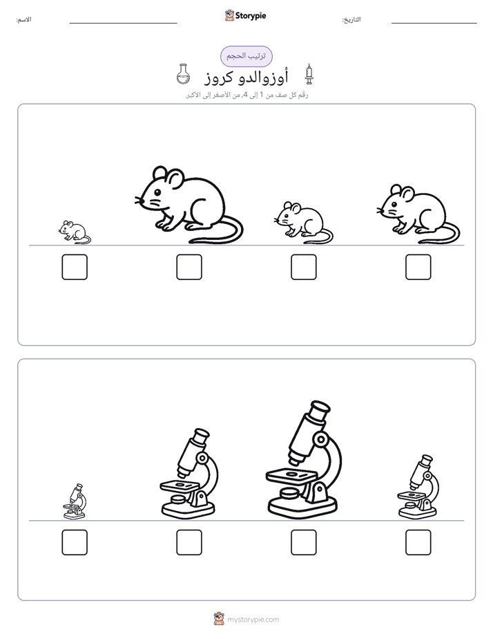 ترتيب الحجم