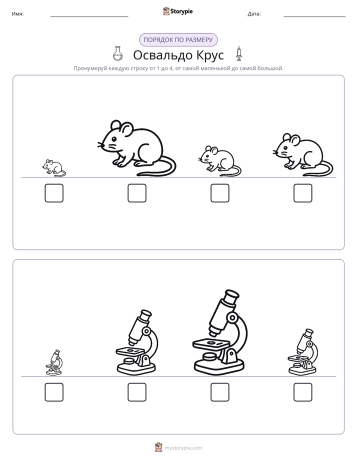 Размеры в порядке