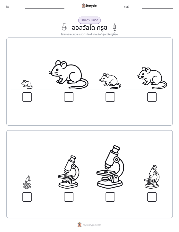 ลำดับขนาด
