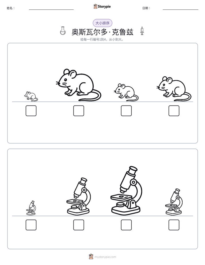大小排序