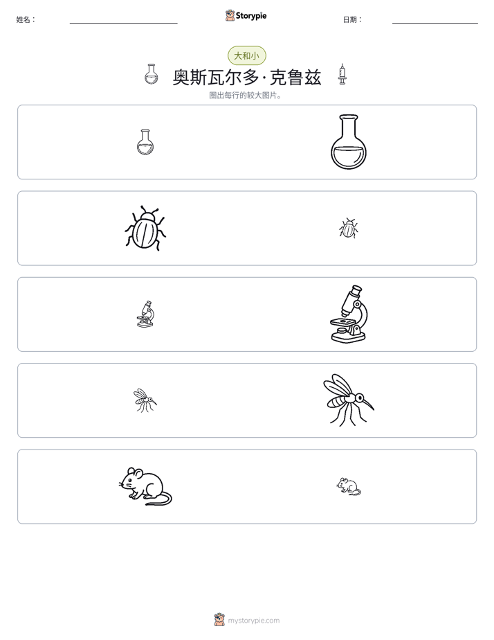 分类