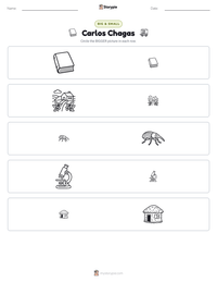 Carlos Chagas printable worksheet preview
