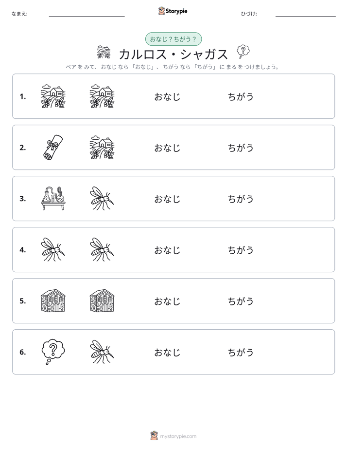 同じか違うか
