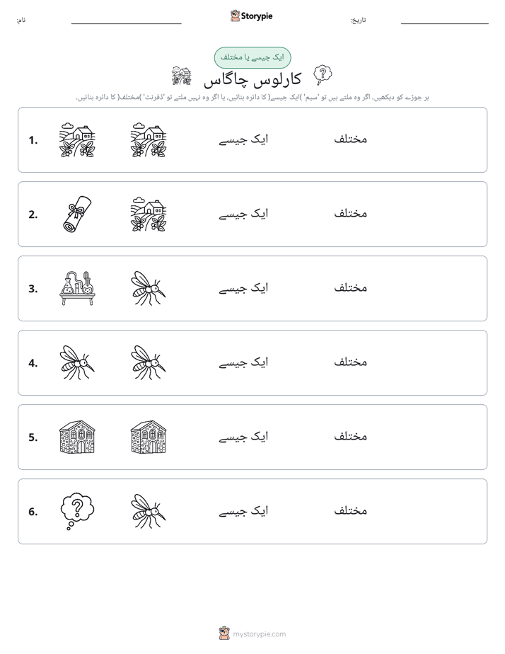 ایک جیسا یا مختلف