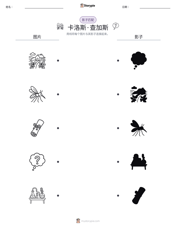 影子匹配
