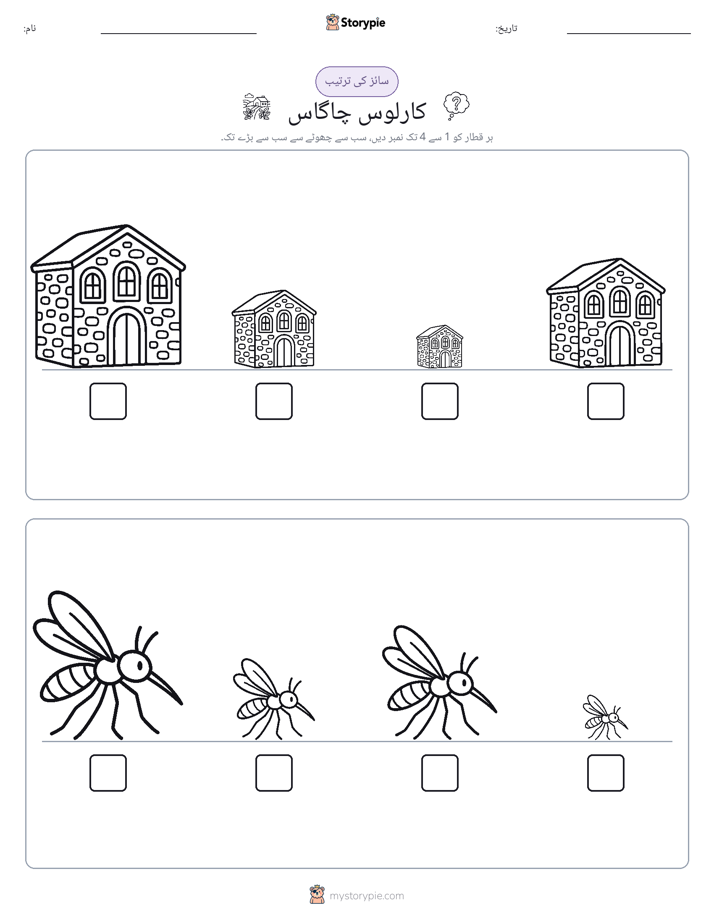 سائز کی ترتیب