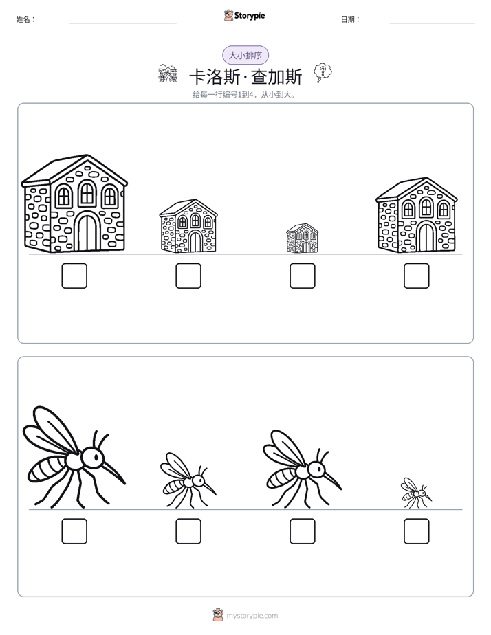大小排序