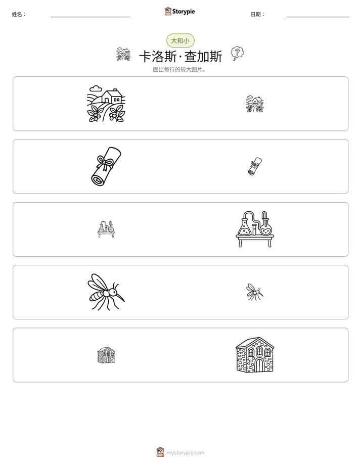 分类