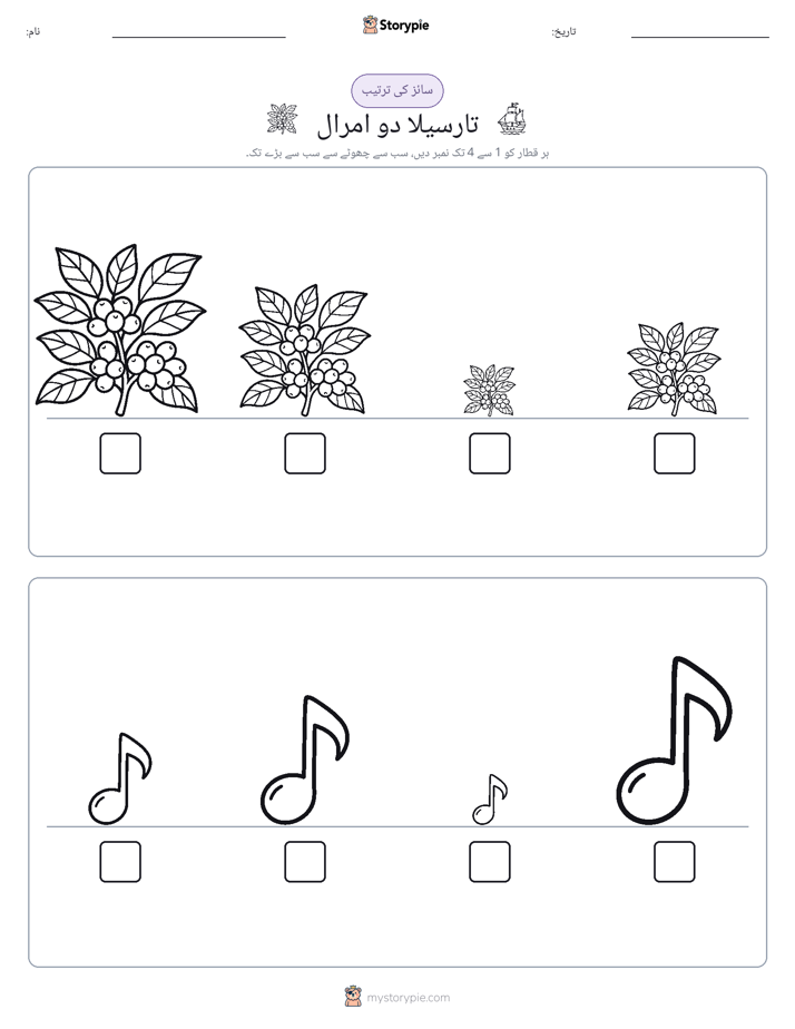 سائز کی ترتیب