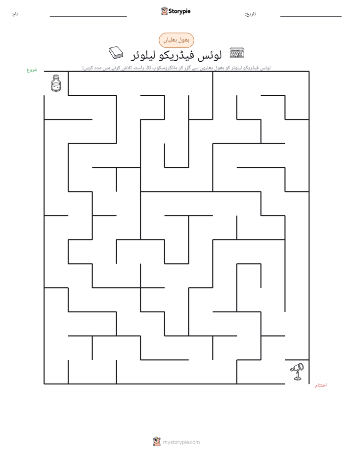 بھول بھلیاں