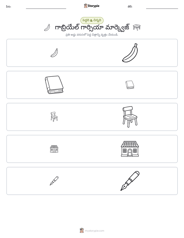 వర్గీకరణ